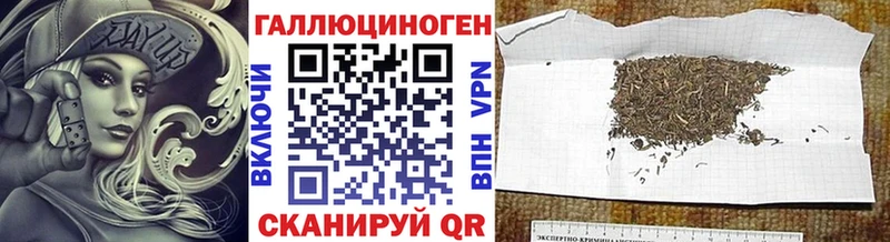 OMG ССЫЛКА  Михайлов  Галлюциногенные грибы Psilocybine cubensis 